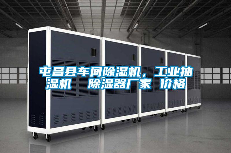 屯昌縣車間除濕機,工業抽濕機 除濕器廠家 價格