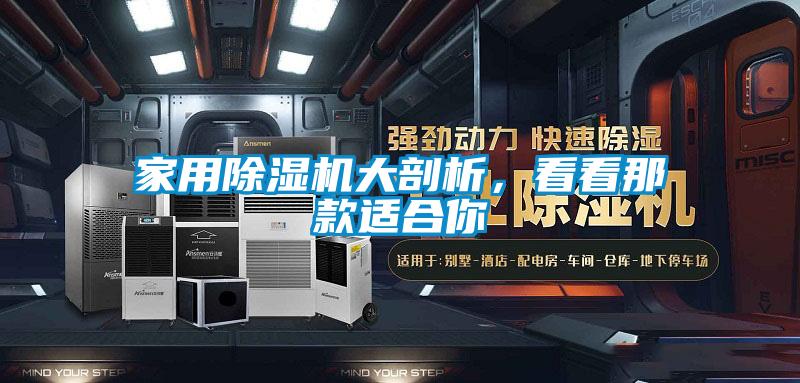 家用除濕機(jī)大剖析,看看那款適合你