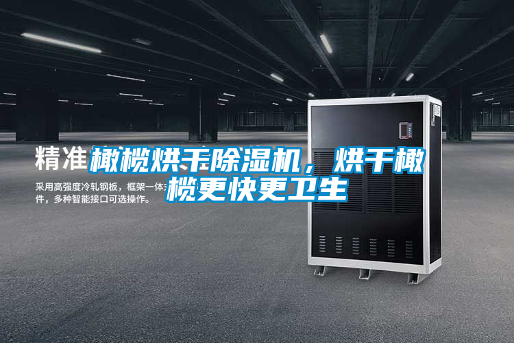 橄欖烘干除濕機，烘干橄欖更快更衛生