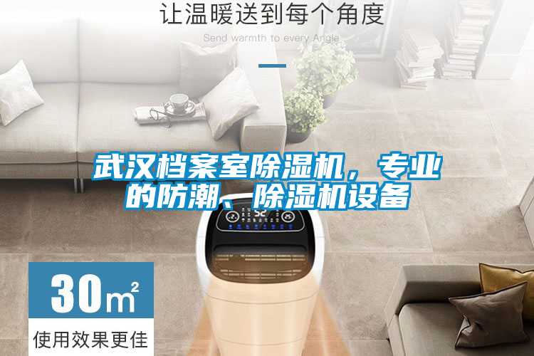 武漢檔案室除濕機,專業的防潮、除濕機設備