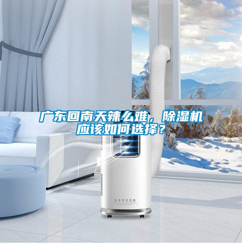廣東回南天辣么難,除濕機應該如何選擇?