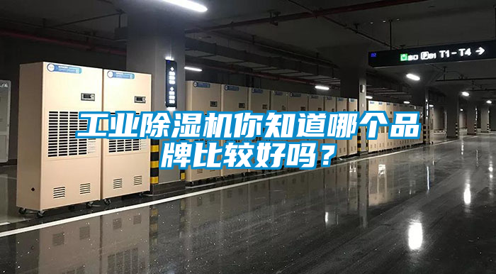 工業(yè)除濕機你知道哪個品牌比較好嗎？