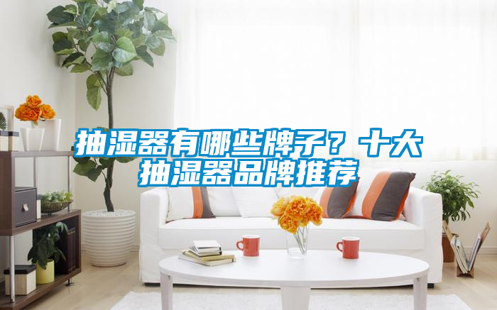 抽濕器有哪些牌子？十大抽濕器品牌推薦