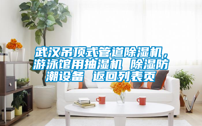 武漢吊頂式管道除濕機，游泳館用抽濕機 除濕防潮設備 返回列表頁