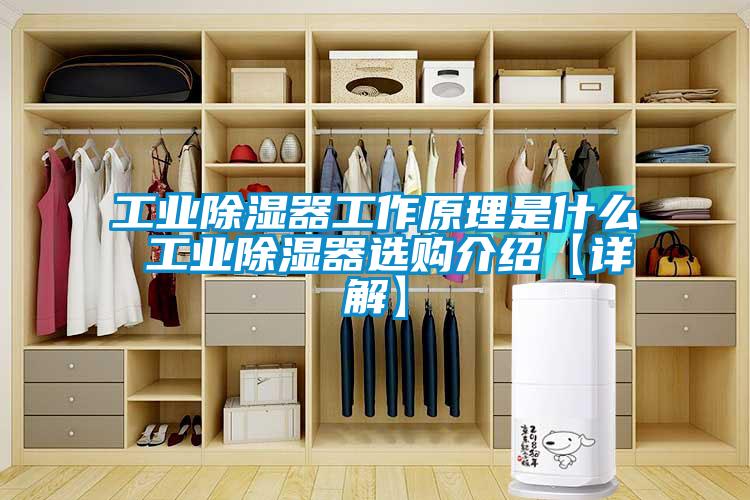 工業除濕器工作原理是什么 工業除濕器選購介紹【詳解】