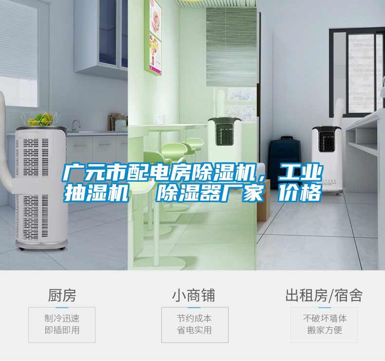 廣元市配電房除濕機,工業抽濕機 除濕器廠家 價格