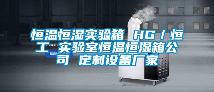 恒溫恒濕實驗箱 HG/恒工 實驗室恒溫恒濕箱公司 定制設備廠家