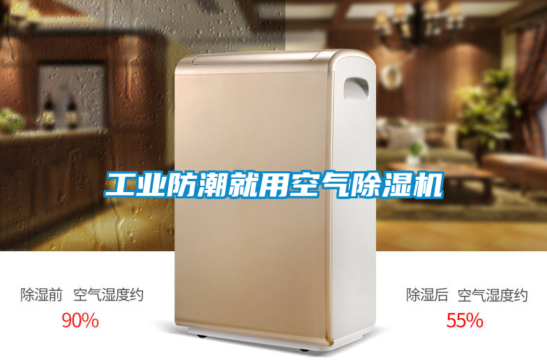 工業防潮就用空氣除濕機