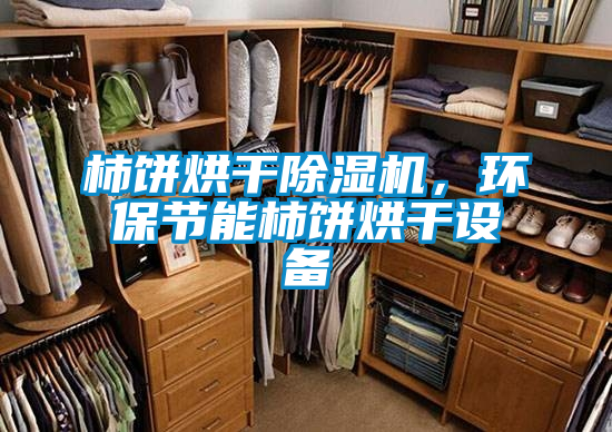 柿餅烘干除濕機(jī)，環(huán)保節(jié)能柿餅烘干設(shè)備