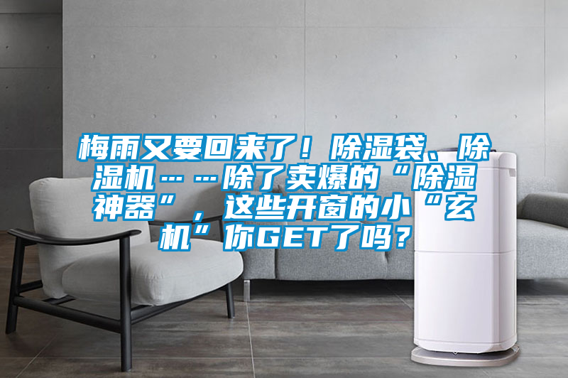 梅雨又要回來了！除濕袋、除濕機……除了賣爆的“除濕神器”，這些開窗的小“玄機”你GET了嗎？