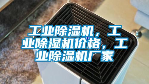 工業除濕機,工業除濕機價格,工業除濕機廠家