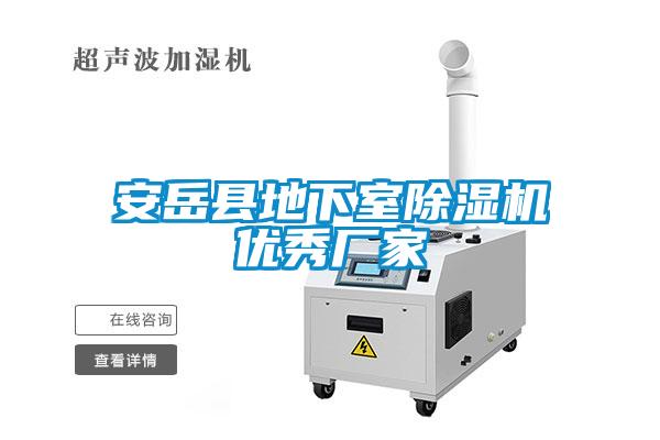 安岳縣地下室除濕機優秀廠家