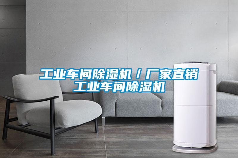 工業車間除濕機/廠家直銷工業車間除濕機