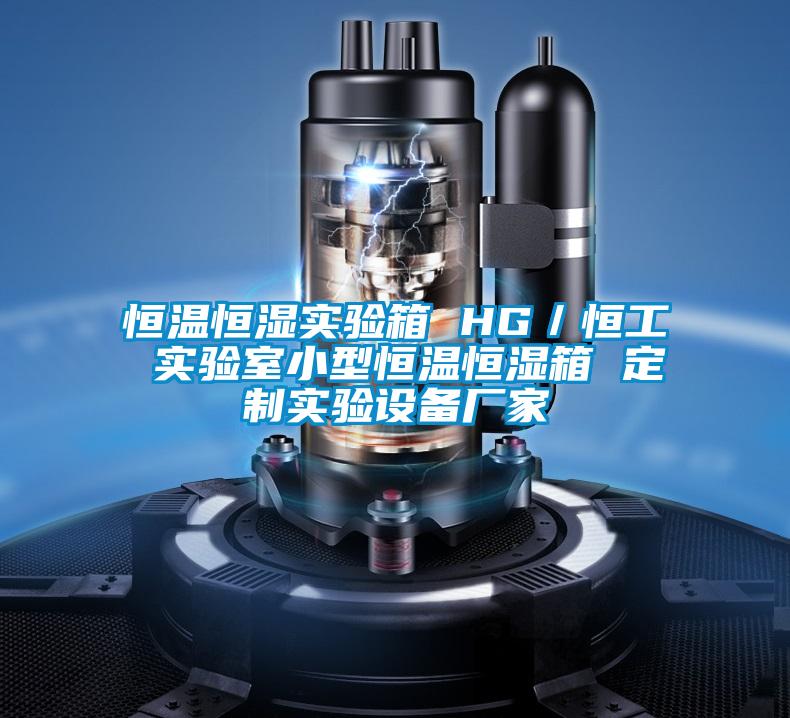 恒溫恒濕實驗箱 HG／恒工 實驗室小型恒溫恒濕箱 定制實驗設備廠家
