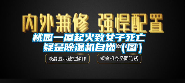 桃園一屋起火致女子死亡 疑是除濕機自燃(圖)
