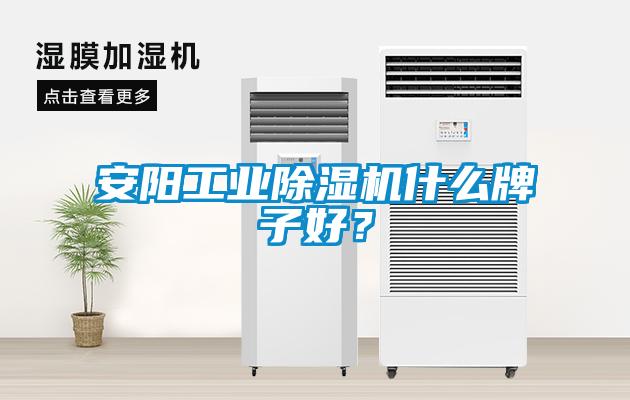 安陽工業除濕機什么牌子好?