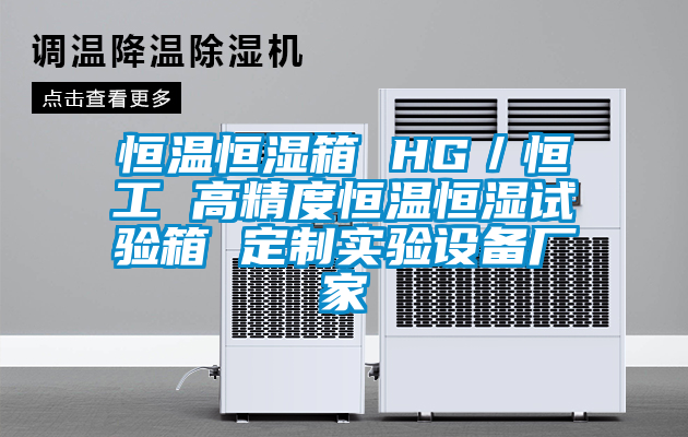 恒溫恒濕箱 HG／恒工 高精度恒溫恒濕試驗箱 定制實驗設備廠家
