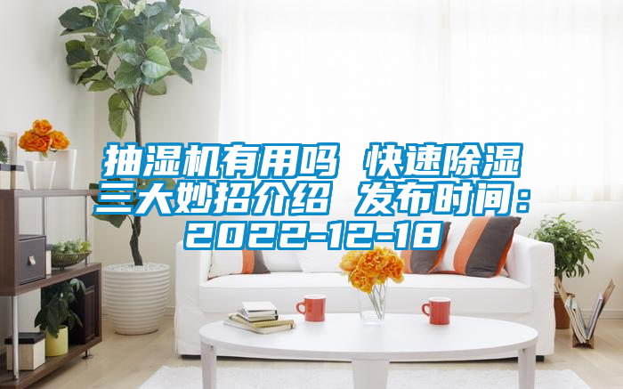 抽濕機(jī)有用嗎 快速除濕三大妙招介紹 發(fā)布時(shí)間:2022-12-18