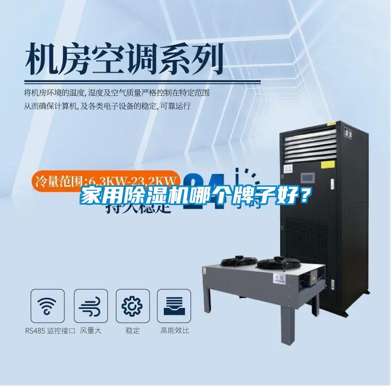 家用除濕機哪個牌子好?