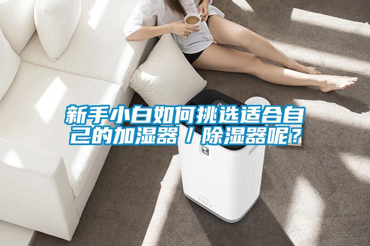 新手小白如何挑選適合自己的加濕器/除濕器呢?