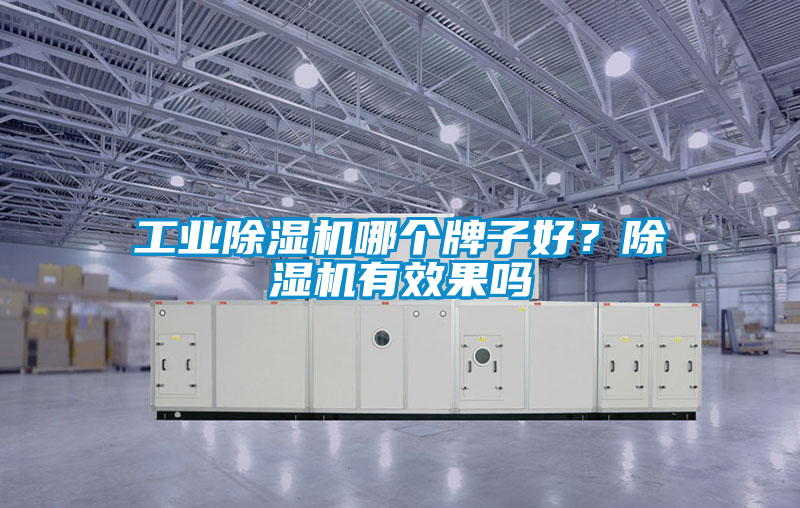 工業除濕機哪個牌子好?除濕機有效果嗎