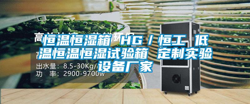 恒溫恒濕箱 HG/恒工 低溫恒溫恒濕試驗箱 定制實驗設備廠家