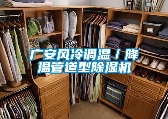 廣安風冷調溫/降溫管道型除濕機