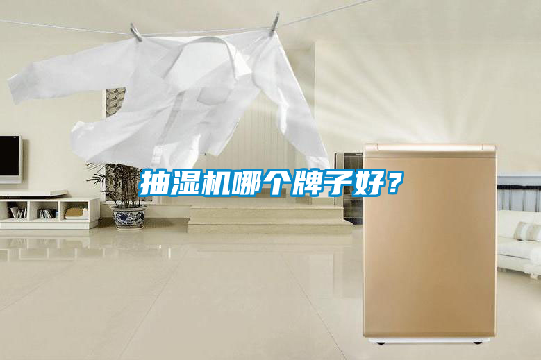 抽濕機(jī)哪個牌子好?