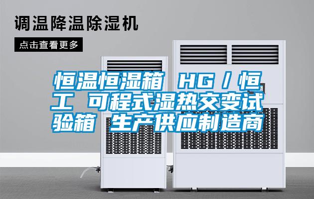 恒溫恒濕箱 HG/恒工 可程式濕熱交變試驗(yàn)箱 生產(chǎn)供應(yīng)制造商