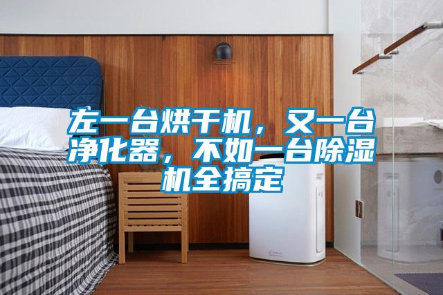 左一臺烘干機,又一臺凈化器,不如一臺除濕機全搞定