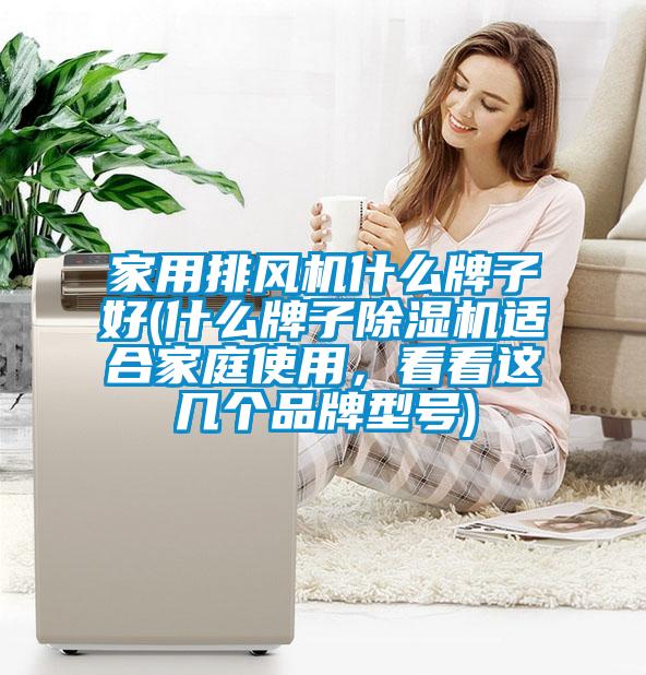 家用排風機什么牌子好(什么牌子除濕機適合家庭使用,看看這幾個品牌型號)