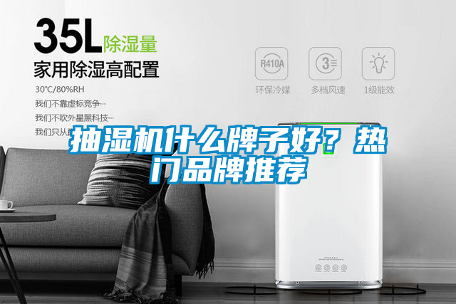 抽濕機什么牌子好？熱門品牌推薦