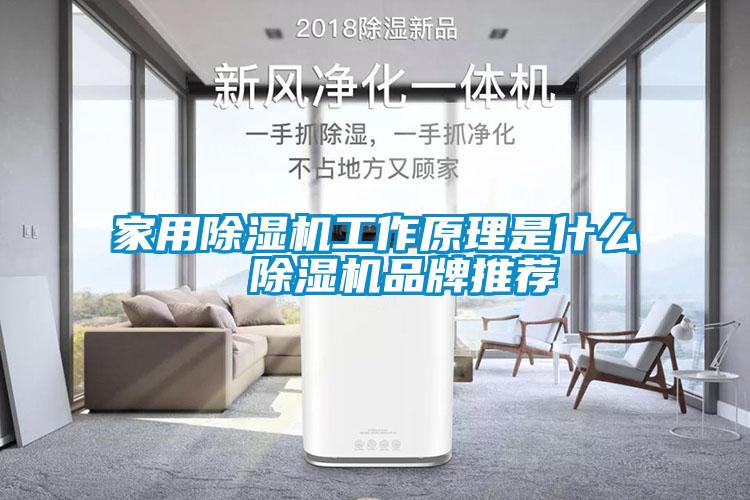 家用除濕機工作原理是什么 除濕機品牌推薦