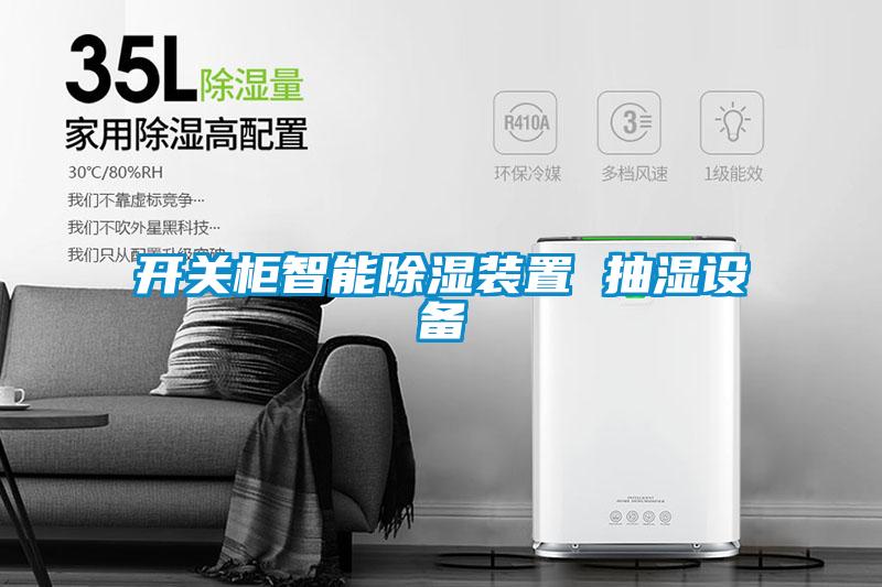 開關(guān)柜智能除濕裝置 抽濕設備