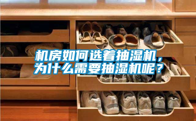 機(jī)房如何選著抽濕機(jī),為什么需要抽濕機(jī)呢?