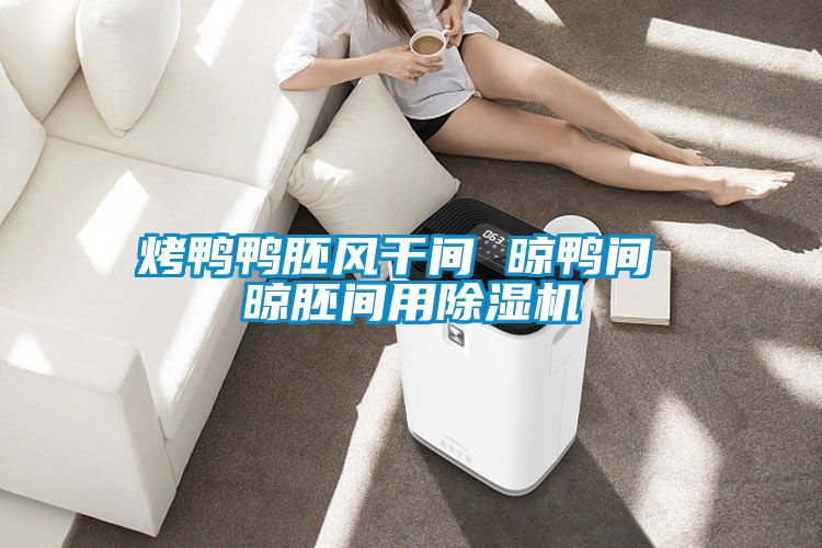 烤鴨鴨胚風干間 晾鴨間 晾胚間用除濕機