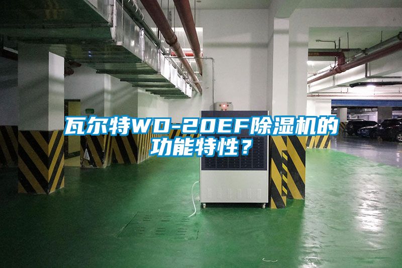 瓦爾特WD-20EF除濕機的功能特性？