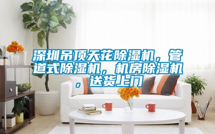 深圳吊頂天花除濕機,管道式除濕機,機房除濕機,送貨上門
