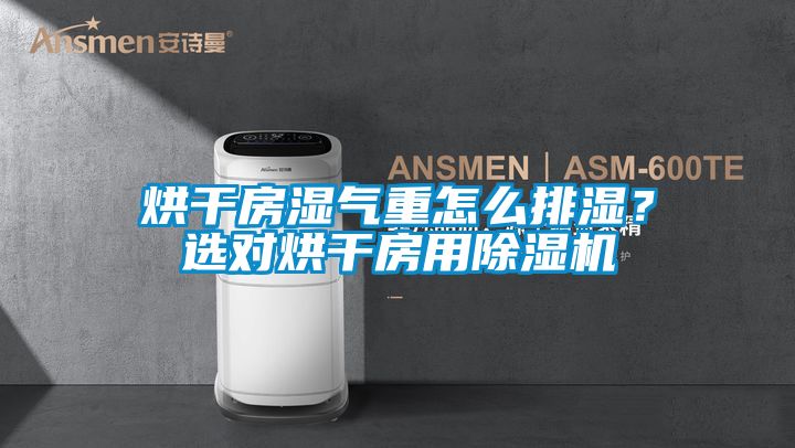 烘干房濕氣重怎么排濕？選對烘干房用除濕機