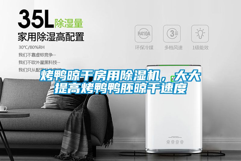 烤鴨晾干房用除濕機,大大提高烤鴨鴨胚晾干速度