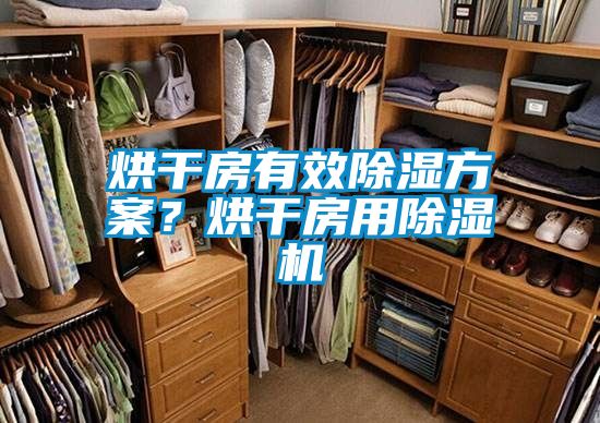 烘干房有效除濕方案？烘干房用除濕機