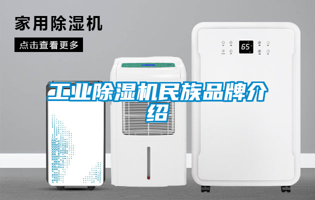 工業除濕機民族品牌介紹