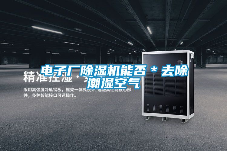 電子廠除濕機(jī)能否*去除潮濕空氣