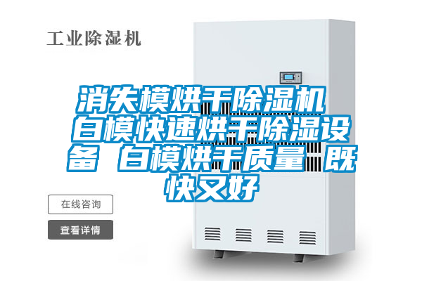 消失模烘干除濕機 白模快速烘干除濕設備 白模烘干質量 既快又好