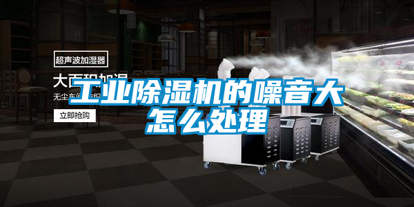 工業除濕機的噪音大怎么處理