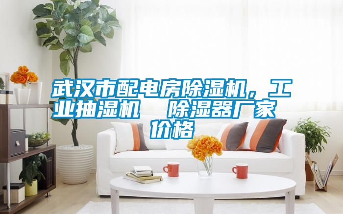 武漢市配電房除濕機，工業(yè)抽濕機  除濕器廠家 價格
