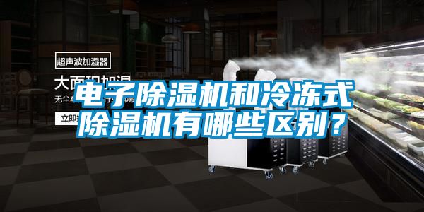 電子除濕機和冷凍式除濕機有哪些區別?