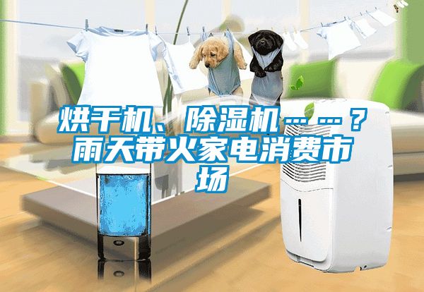 烘干機(jī)、除濕機(jī)……？雨天帶火家電消費(fèi)市場
