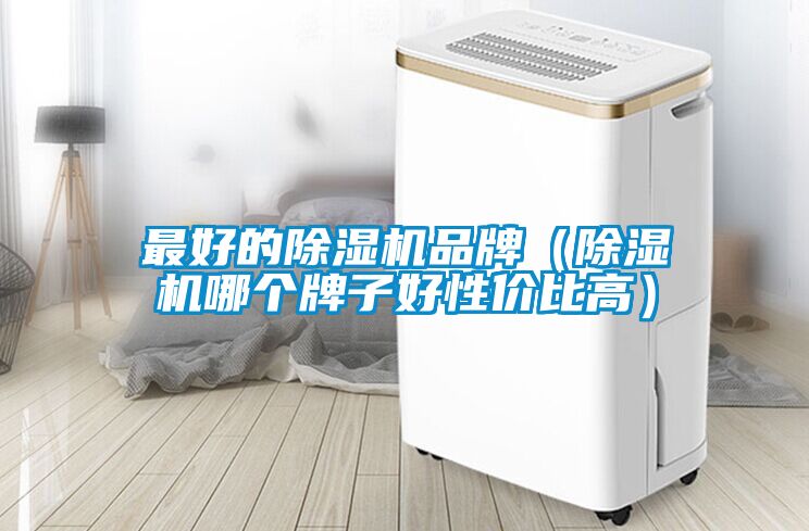 最好的除濕機品牌(除濕機哪個牌子好性價比高)