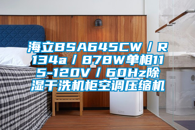 海立BSA645CW/R134a/878W單相115-120V/60Hz除濕干洗機(jī)柜空調(diào)壓縮機(jī)
